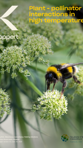 Plant Pollinator interactions in high temperatures