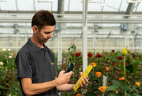 Weniger Einsatz von chemischen Pestiziden durch Natutec Scouten