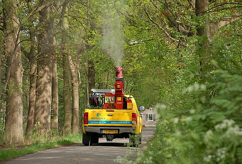 Baumspezialist Wolterinck: Bekämpfung der Eichenprozessionsspinnerraupe mit Entonem