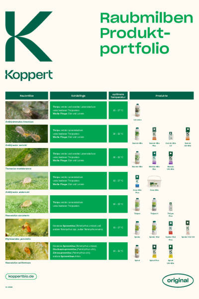 Raubmilben Portfolio