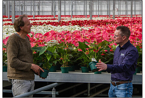 Amazone Plants setzt den Weg des bio-anbaus fort