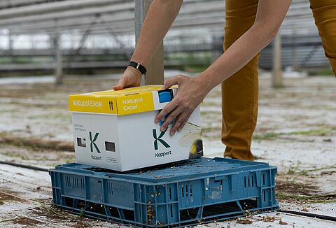 Optimale Aufstellung von Hummelkästen