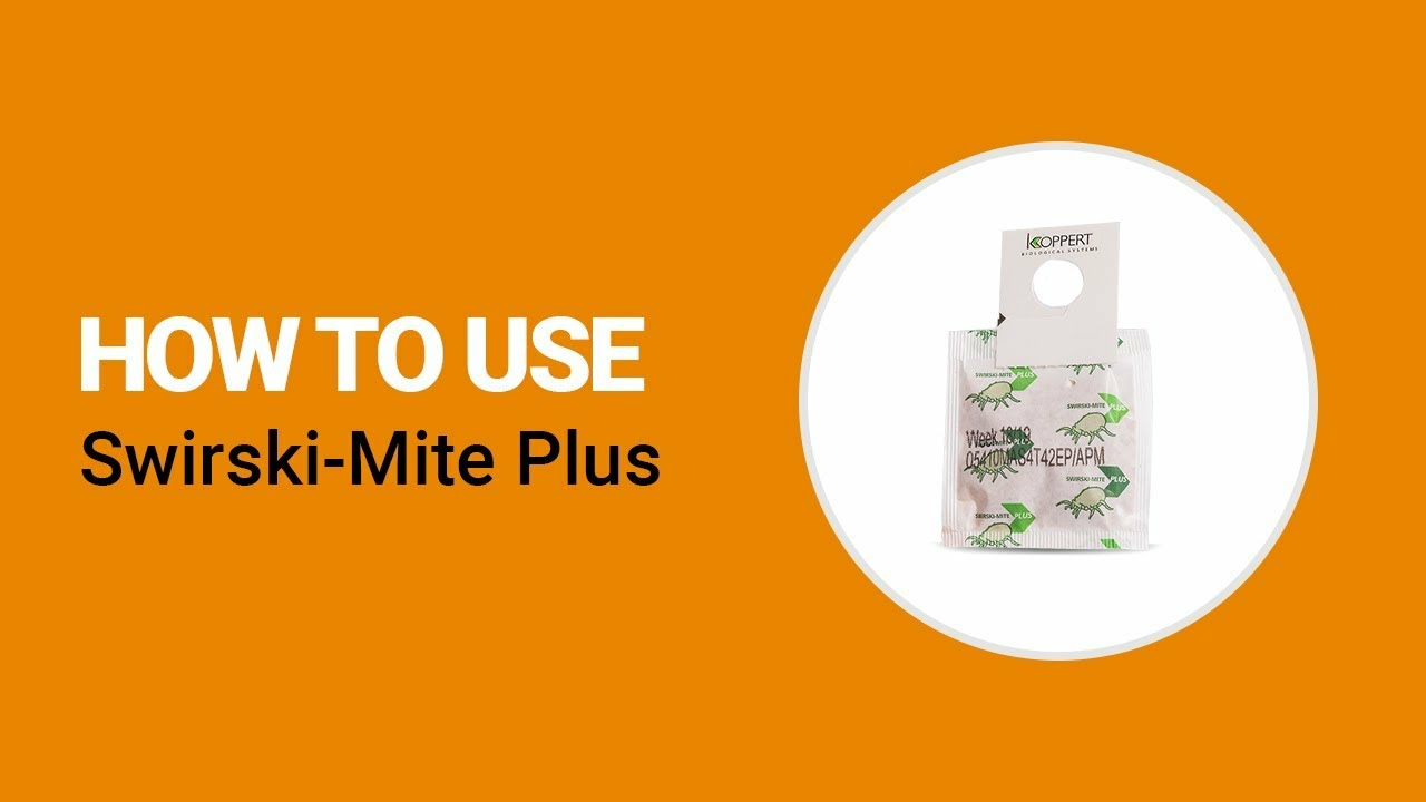How to use Swirski-Mite Plus from Koppert