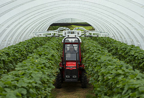 Gleichmäßige Verteilung von Raubinsekten mit Natutec Drive