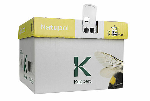 Koppert-Hummelkästen: frischer Look, bewährte Qualität