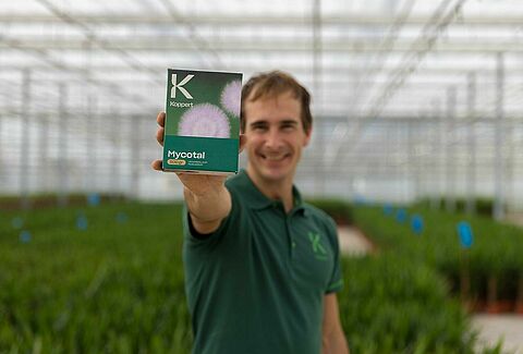 Mycotal ist jetzt in Österreich verfügbar