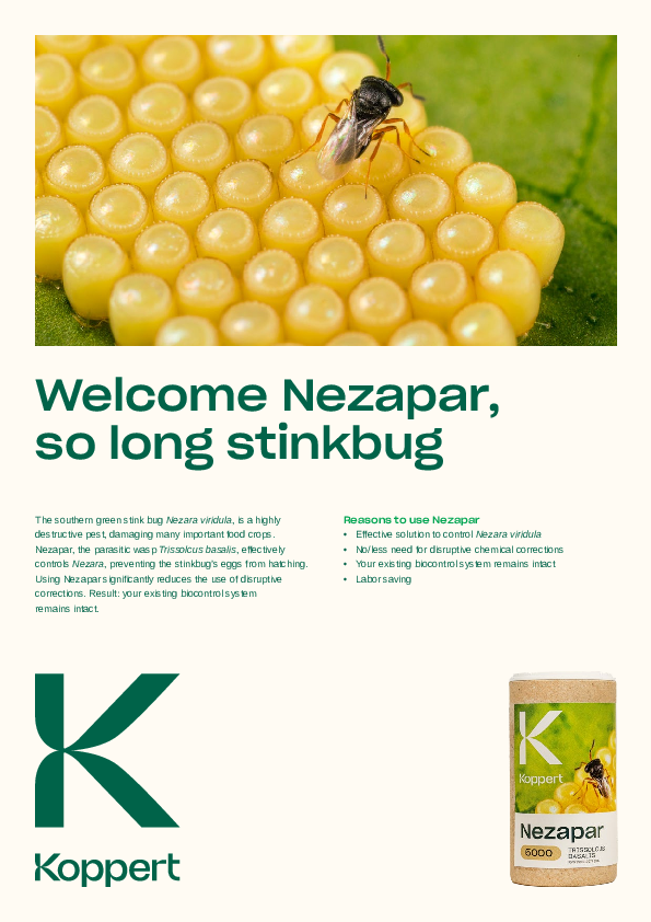 Auswirkungen von Nezapar