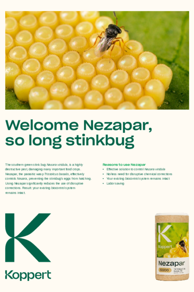 Auswirkungen von Nezapar