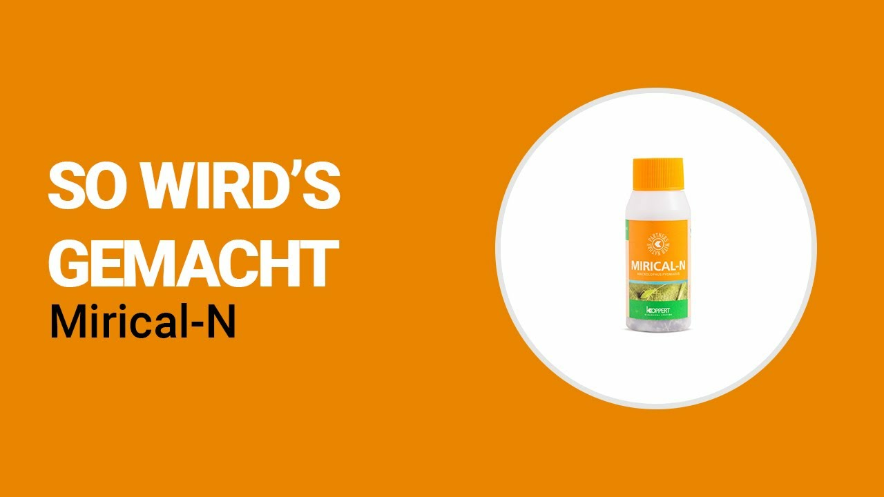 So wird's gemacht - Koppert Mirical-N