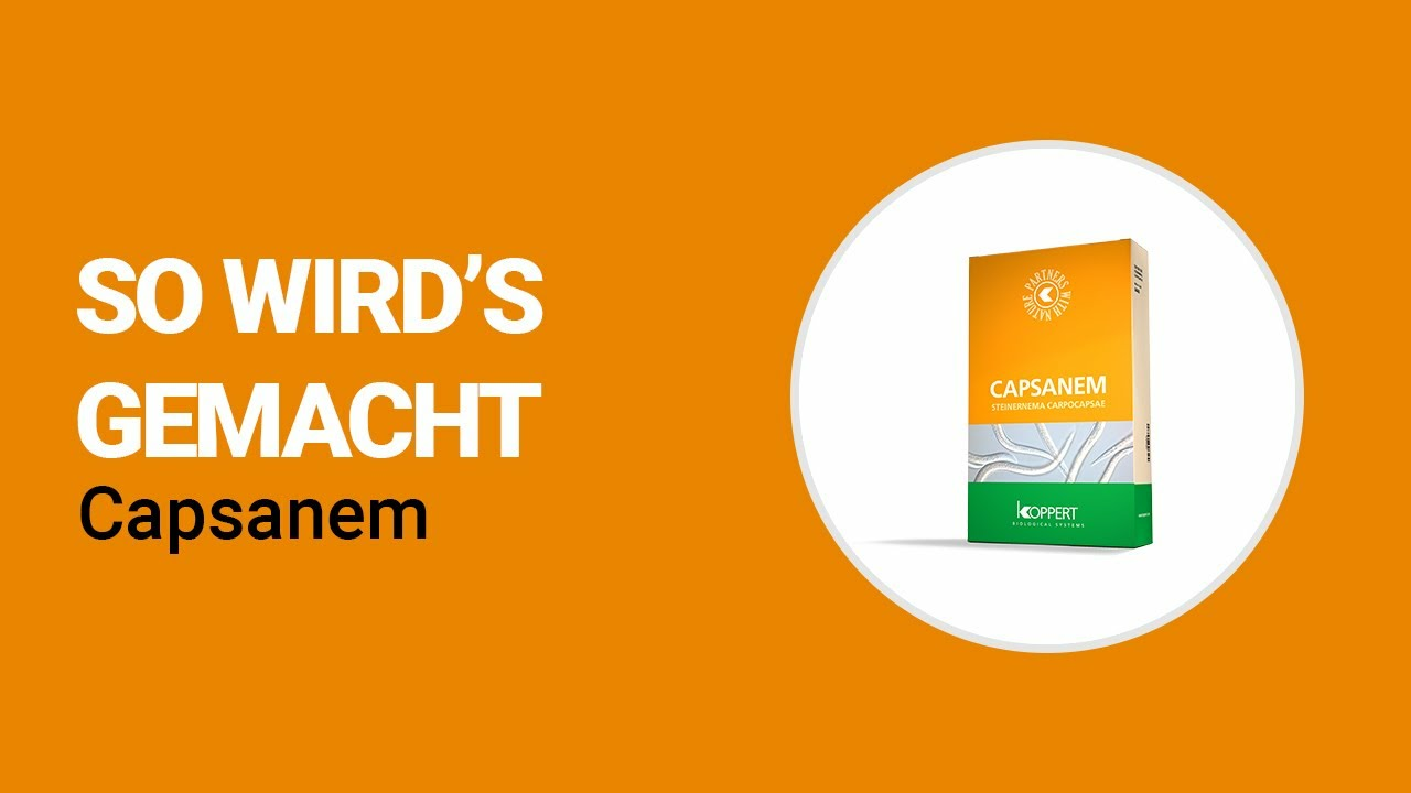 So wird's gemacht - Koppert Capsanem