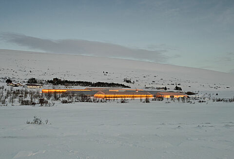 Künstlich beleuchtete kulturpflanzen bestäubung beratung