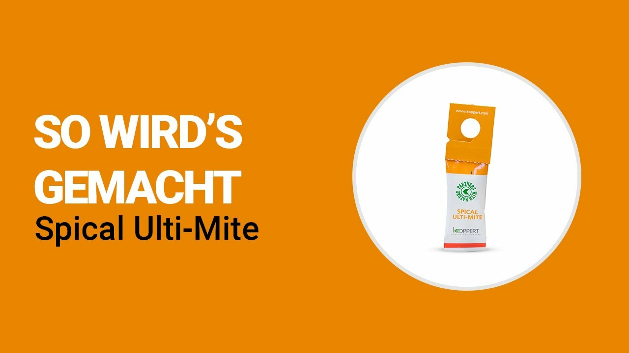 So wird's gemacht - Spical Ulti-Mite