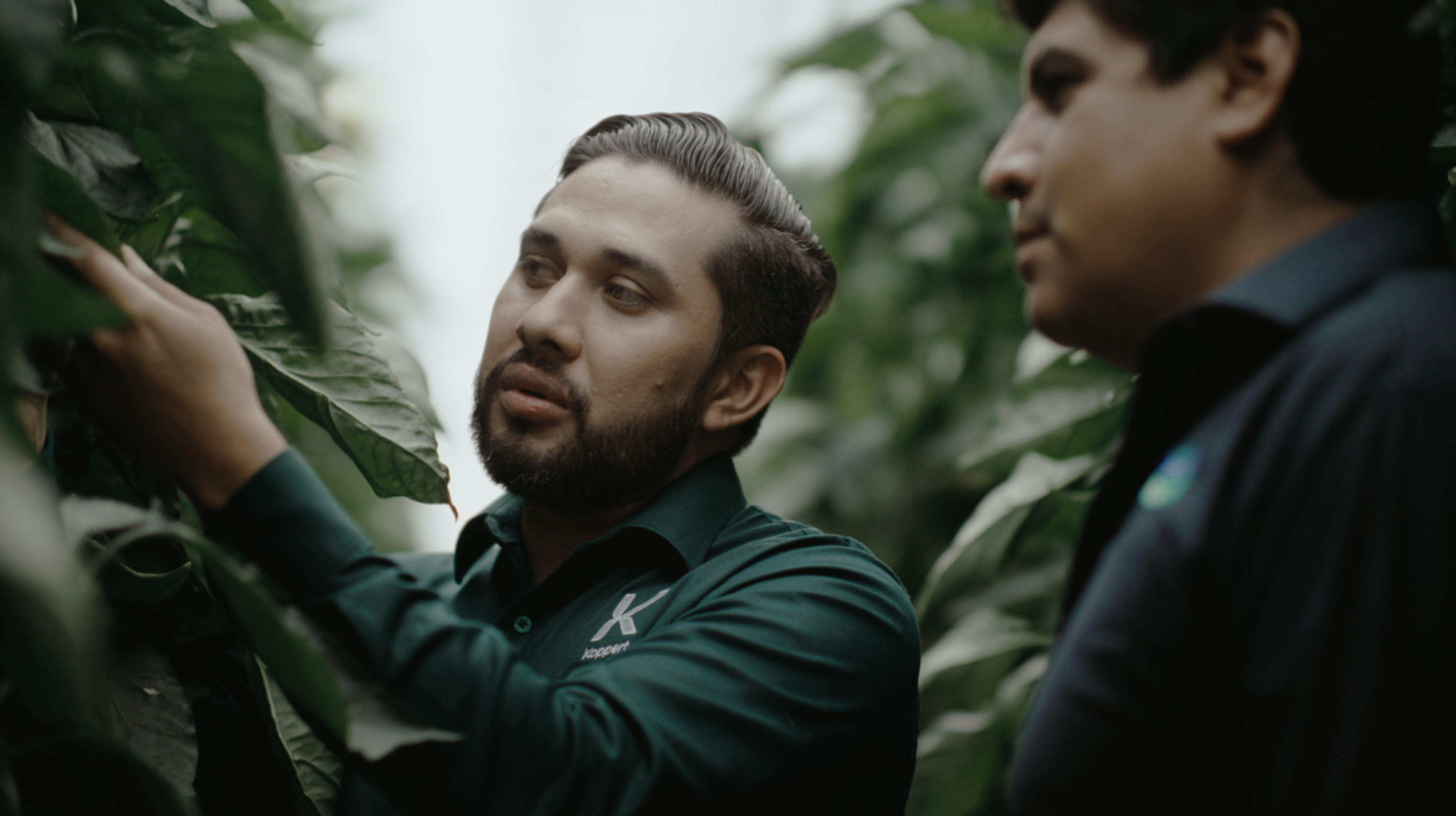 La Hacienda Fresh steigert die Rentabilität der Kulturen dank biologischer bekämpfung